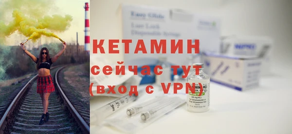 крисы Мегион