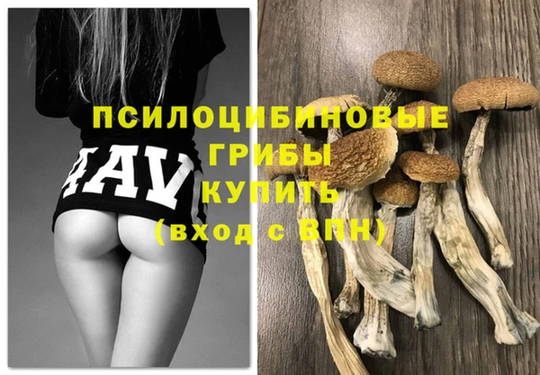 спиды Михайлов