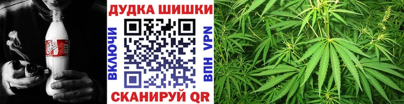 Бошки Шишки VHQ Почеп